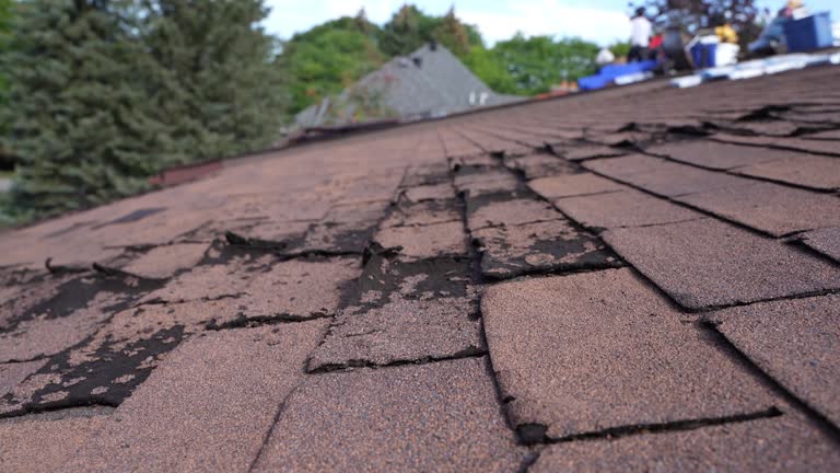 Best Asphalt Shingles Roofing  in Shorewood, IL